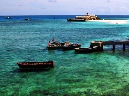 Truong Sa possède des espèces de coraux les plus riches de la Mer Orientale
